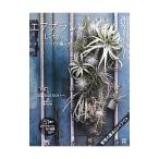 エアプランツＬｉｆｅ／スゥルギ