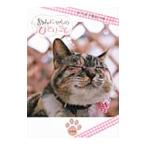 ����ɂ��̂ЂƂ育�Ɓ^�ǂ��Ԃ����̉�`�v�r