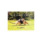 Yahoo! Yahoo!ショッピング(ヤフー ショッピング)ミナミコアリクイ／松原卓二