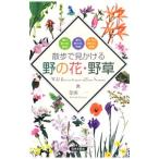 散歩で見かける野の花・野草 春の野の花・野草 夏の野の花・野草 秋／冬の野の花・野草／金田一