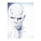 Ｄｉｒ ｅｎ ｇｒｅｙ／Ｓｕｓｔａｉｎ ｔｈｅ ＵＮｔｒｕｔｈ 完全生産限定盤