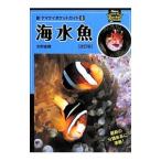 海水魚／吉野雄輔