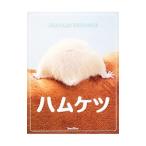 Yahoo! Yahoo!ショッピング(ヤフー ショッピング)ハムケツ／ｍａｎｉｃ
