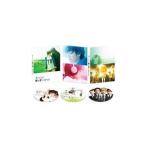 Yahoo! Yahoo!ショッピング(ヤフー ショッピング)DVD／カノジョは嘘を愛しすぎてる スペシャル・エディション