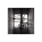 ＷＨＩＴＥ ＡＳＨ／ＴＨＥ ＤＡＲＫ ＢＬＡＣＫ ＧＲＯＯＶＥ