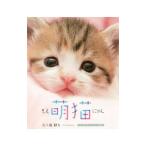 Yahoo! Yahoo!ショッピング(ヤフー ショッピング)萌猫（もえにゃん）／五十嵐健太