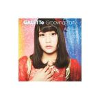 ＧＡＬＥＴＴｅ／Ｇｒｏｏｖｉｎｇ Ｐａｒｔｙ（古森