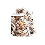 Yahoo! Yahoo!ショッピング(ヤフー ショッピング)そらる／夕溜まりのしおり