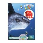  рыба |книга@...