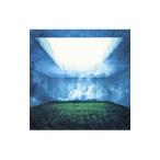 Ｎｏｔｈｉｎｇ’ｓ Ｃａｒｖｅｄ Ｉｎ Ｓｔｏｎｅ／ＭＡＺＥ