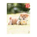 Yahoo! Yahoo!ショッピング(ヤフー ショッピング)和風総本家十六代目と十五代目豆助オフィシャルフォトブック／森下泰樹