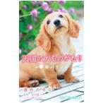  небо страна. собака было использовано ...|. рисовое поле ..