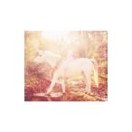 赤い公園/純情ランドセル 初回限定盤