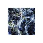 Yahoo! Yahoo!ショッピング(ヤフー ショッピング)Ａｉｍｅｒ／ｎｉｎｅｌｉｅ ＥＰ