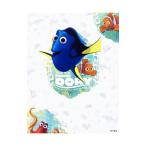 fa Indy ng*do Lee visual гид |KADOKAWA