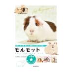 Yahoo! Yahoo!ショッピング(ヤフー ショッピング)モルモット／大崎典子