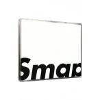 ＳＭＡＰ／ＳＭＡＰ ２５ ＹＥＡＲＳ