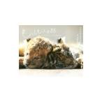 もふもふ日誌／九州自然動物公園アフリカンサファリ