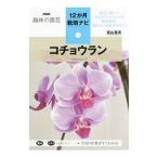 コチョウラン／富山昌克