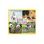 Yahoo! Yahoo!ショッピング(ヤフー ショッピング)どうぶつのあかちゃん／チャイルド本社