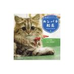 Yahoo! Yahoo!ショッピング(ヤフー ショッピング)航海士にゃんこカンパチ船長／まさと船長