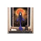 Yahoo! Yahoo!ショッピング(ヤフー ショッピング)ｅ：ｃｈｏ／Ｌａ ｌｕｎｅ ｒｏｕｓｓｅ