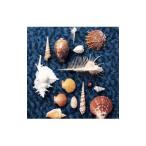 スピッツ／ＣＹＣＬＥ ＨＩＴ １９９１−１９９７ Ｓｐｉｔｚ Ｃｏｍｐｌｅｔｅ Ｓｉｎｇｌｅ Ｃｏｌｌｅｃｔｉｏｎ