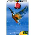 鳥／学研プラス