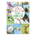Yahoo! Yahoo!ショッピング(ヤフー ショッピング)日本のかわいい鳥世界の綺麗な鳥／上田恵介