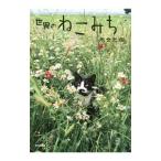 Yahoo! Yahoo!ショッピング(ヤフー ショッピング)世界のねこみち／岩合光昭