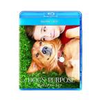 Blu-ray／僕のワンダフル・ライフ 