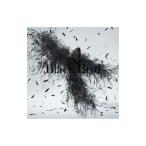 Yahoo! Yahoo!ショッピング(ヤフー ショッピング)Ａｉｍｅｒ／Ｂｌａｃｋ Ｂｉｒｄ｜Ｔｉｎｙ Ｄａｎｃｅｒｓ｜思い出は奇麗で 初回限定盤