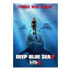 DVD／ディープ・ブルー２