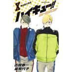 ハイキュー！！ショーセツバン！！ １０／星希代子