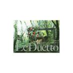  Duet | бумага . прекрасный Цу ветка 