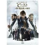 DVD／ファンタスティック・ビーストと黒い魔法使いの誕生