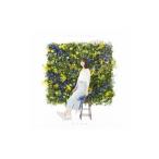 足立佳奈／ｌｉｔｔｌｅ ｆｌｏｗｅｒ