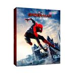 DVD／スパイダーマン：ファー・フロム・ホーム 日本限定プレミアム・スチールブック・エディション