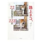 路上ネコ、22の居場所で222匹／佐々木まこと