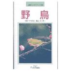  дикая птица |... один 