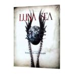 ZOE-LUNA SEA фотоальбом 