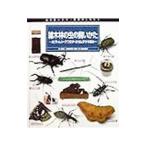 . дерево .. насекомое. ....| море . мир мужчина 