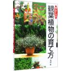 ya... декоративное растение. .. person | хвост мыс глава 