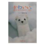 Yahoo! Yahoo!ショッピング(ヤフー ショッピング)かわいい。／シンラ編集部【編】