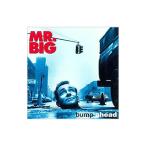 ＭＲ．ＢＩＧ／バンプ・アヘッド