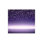 今井美樹／Imai Miki Tour 2000 In Club Hemingway