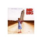 MR．BIG／アクチュアル・サイズ