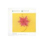 to..... Classic ~ прекрасное платье ... ba блокировка ( все 12 искривление )