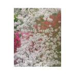  4 сезон. ..| передний рисовое поле .