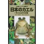  японский лягушка | сосна . выгода свет 